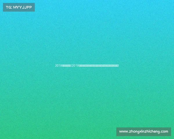 2019年申花赛事表(2019赛季上海申花足球俱乐部全年赛事日程表完整记录与详细解析)